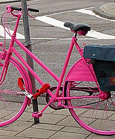 Gmina Zadek i różowy rower - czyli zdjęcia Internautów