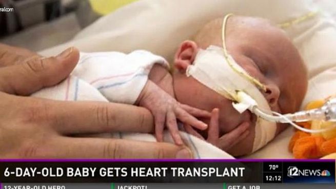 6 dniowy Oliver Crawford