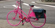 Gmina Zadek i różowy rower - czyli zdjęcia Internautów