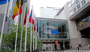 Wybory do Parlamentu Europejskiego 2019. Wrocław i Opole – okręgi i listy wyborcze, kandydaci