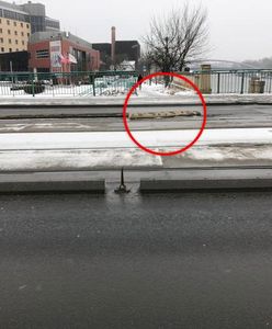 Prokuratura nie zbada kolizji prezydenckiej limuzyny. Zwrócono dokumenty