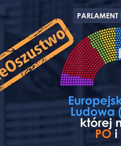 "Wielki wybór czy wielkie oszustwo?". Europosłowie PiS punktują PO