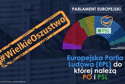 "Wielki wybór czy wielkie oszustwo?". Europosłowie PiS punktują PO