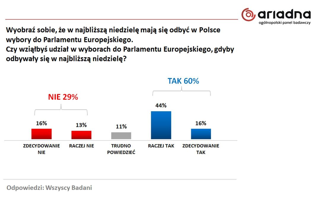 Wyniki badania na panelu Ariadna dla WP 
