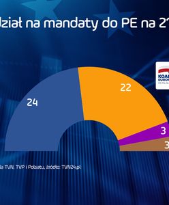 Wyniki wyborów do Europarlamentu 2019. Znamy podział mandatów