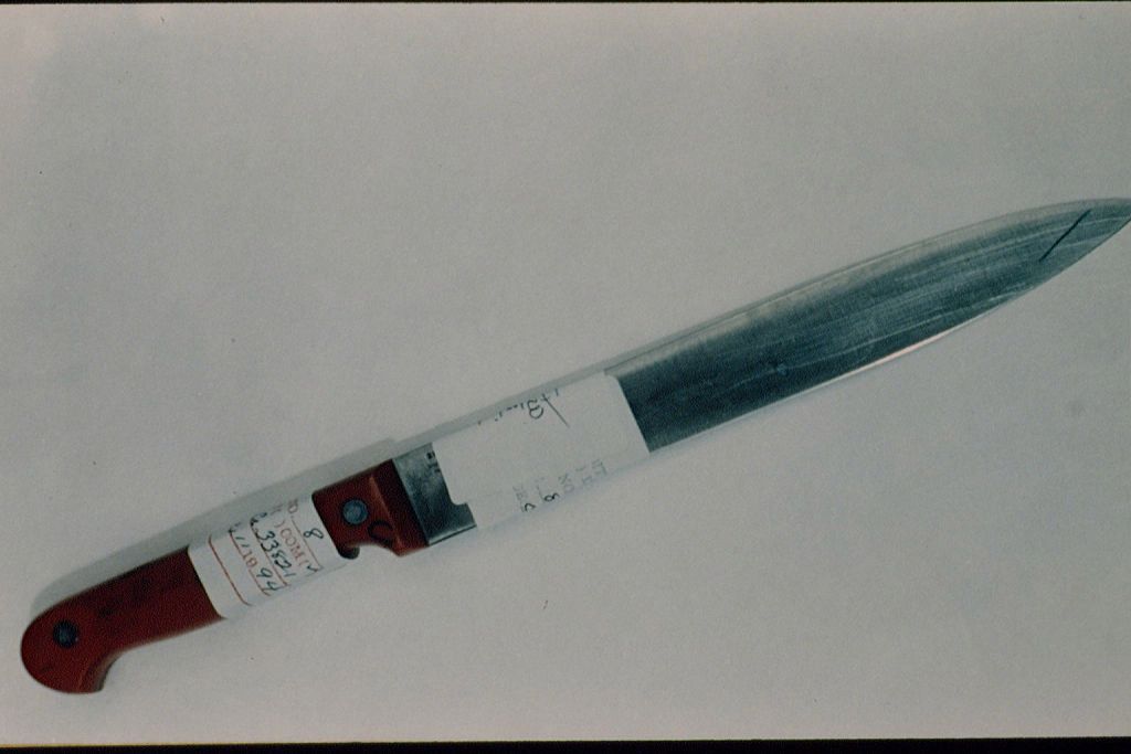 Lorena Bobbitt podczas procesu, po którym została uznana za niepoczytalną 