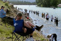 Wędkarze na Alasce chcą pobić 32-letni rekord. Niedźwiedzie tylko czekają na okazję