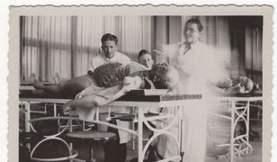 "Stacja końcowa Auschwitz” to wyjątkowe świadectwo. Książka napisana w całości na terenie obozu