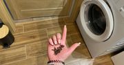 Położyła za drzwiami w łazience. W prosty sposób pozbyła się ohydnego problemu