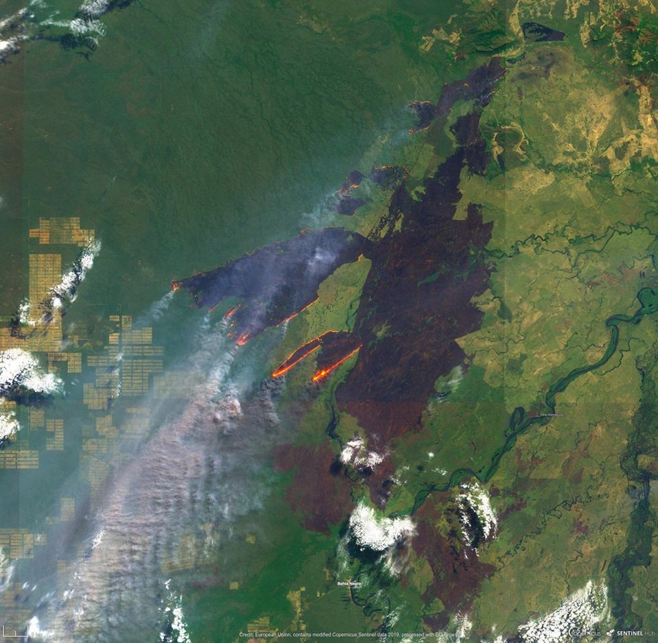 Amazonia w ogniu. Zdjęcie z satelity pokazuje skalę katastrofy