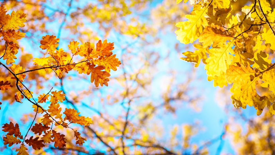Pogoda w weekend zachwyci wysokimi temperaturami i bezchmurnym niebem. Taka aura może się utrzymać do końca przyszłego tygodnia.
