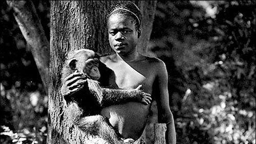 Rok 1906. Pigmej Ota Benga był atrakcją w nowojorskim Bronx Zoo. Trzymany był w klatce z szympansami z tabliczką: Brakujące ogniwo