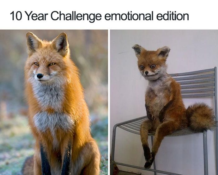 10 Year Challenge, wersja emocjonalna