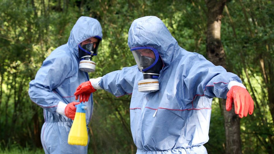 Niemcy. Służby walczą z gąsienicami.