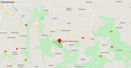Wypadek w rezerwacie Sokole Góry pod Częstochową. Nie żyje turystka