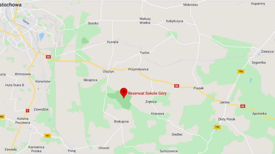 Częstochowa. Wypadek w rezerwacie Sokole Góry - nie żyje 40-latka