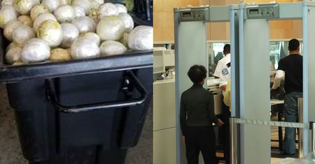 W życiu nie widzieli tyle "sałaty". Przemyt, który nie mógł się udać