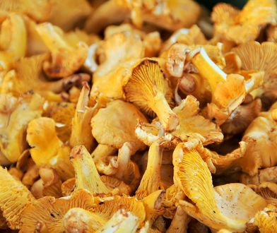 Napromieniowana żywność z Rosji. Francja znalazła ślady