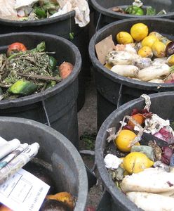 Światowe problemy z żywnością. Za dużo marnotrawstwa i niewłaściwe odżywianie