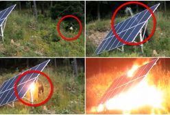 Podpalił panel solarny w turystycznej miejscowości. Właściciele szukają sprawcy
