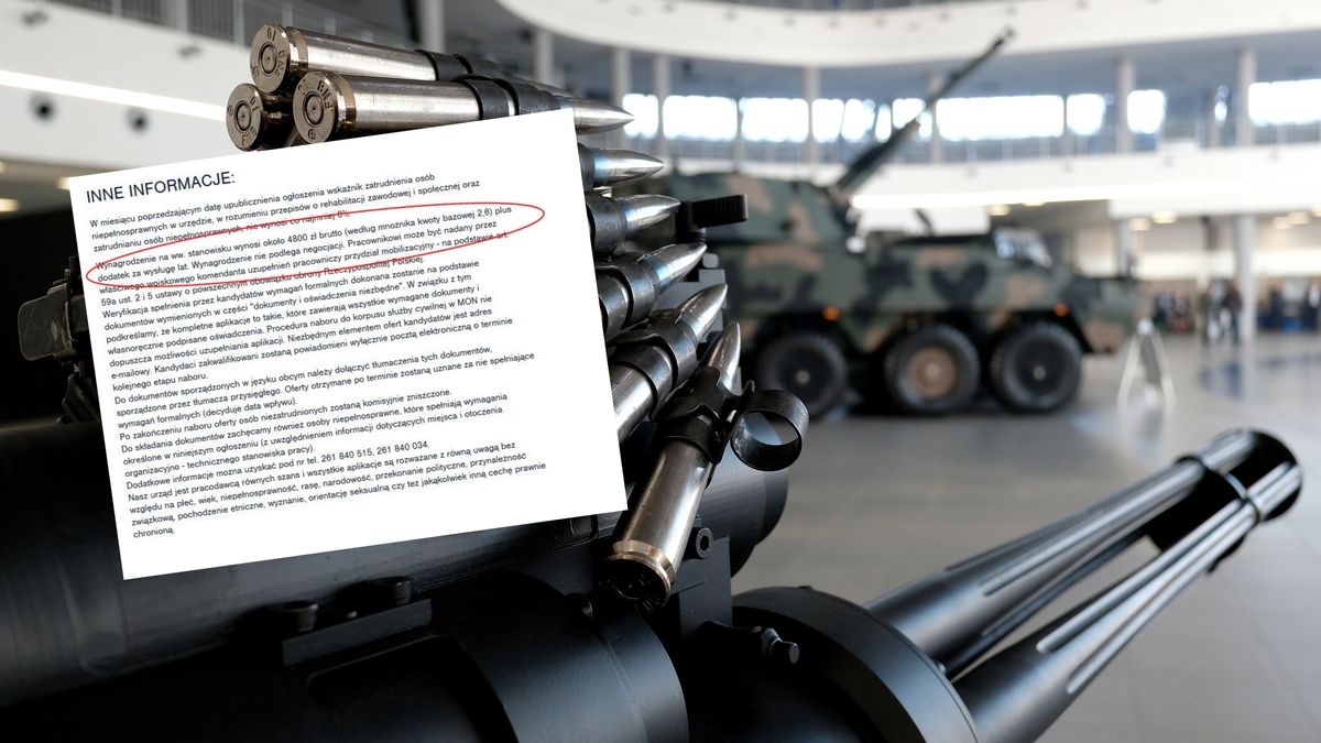 Poszukiwany ekspert mógłby proponowaną pensję zarobić w sektorze prywatnym w kilka godzin.