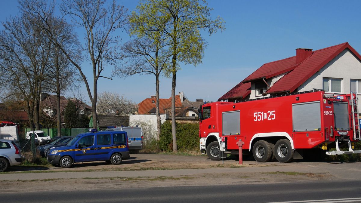 zdjęcie