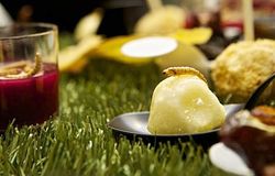 Przez miesiąc żywił się wyłącznie robakami. Jego zdaniem, to dieta przyszłości