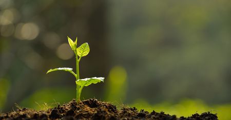Niemiecka prasa o raporcie klimatycznym: nie ma alternatywy do zmian
