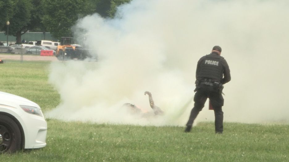 Desperata natychmiast ugasili policjanci patrolujący rejon Białego Domu