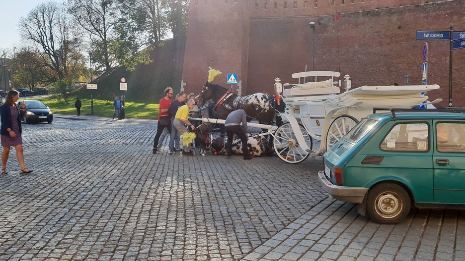 Kraków: upadł koń ciągnący dorożkę z turystami. Przechodnie ratowali zwierzę.