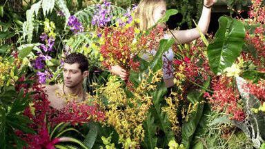 Ogrody botaniczne Kew Gardens w Londynie