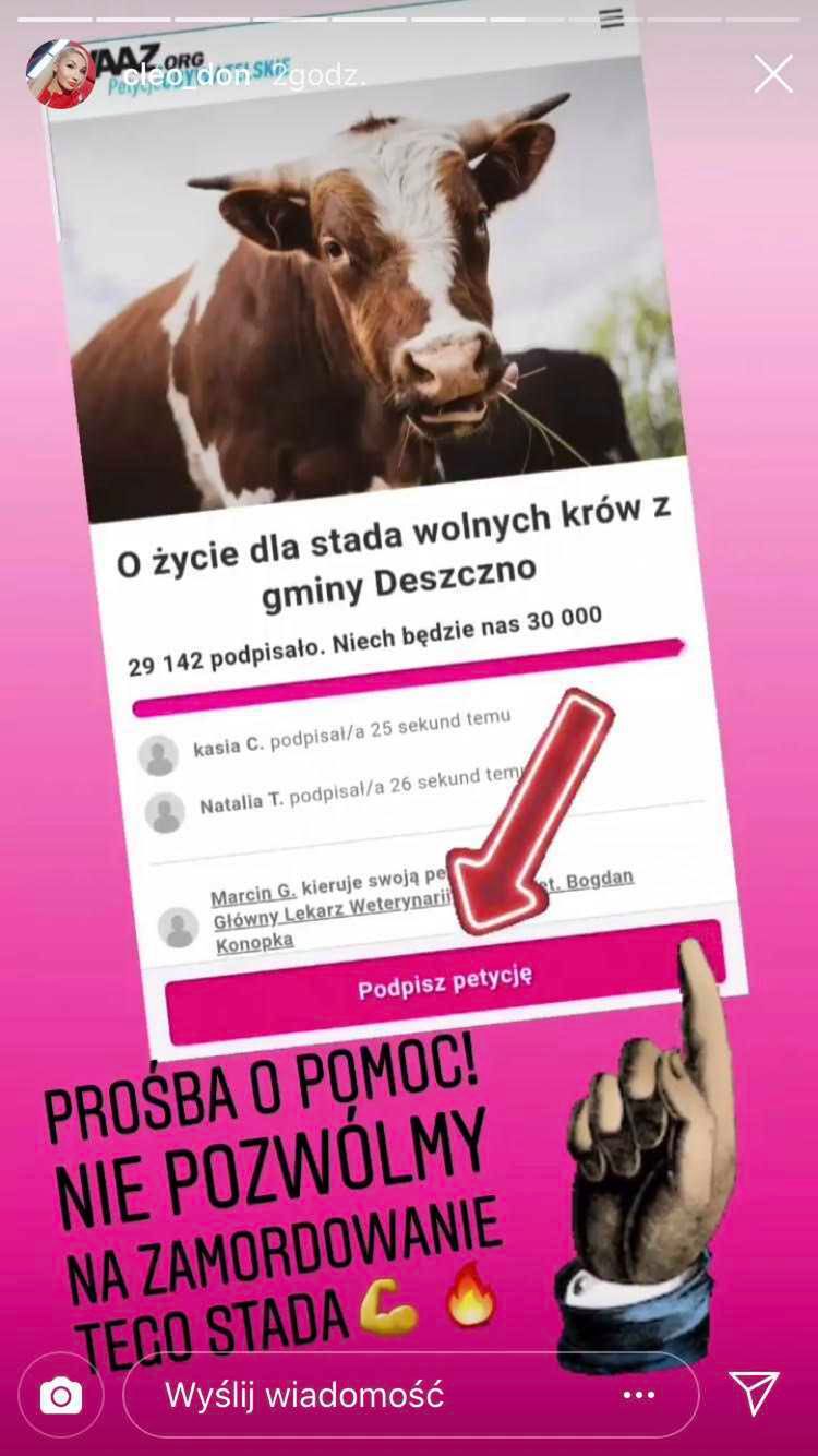 Cleo - gwiazdy bronią wolnych krów