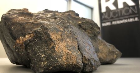Wyjątkowy meteoryt sprzedał się za ogromną kwotę. Kupił go od handlarza za grosze