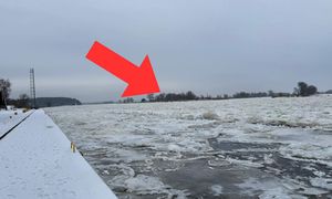 Taki widok na Odrze. "Nie widziany od kilku lat"