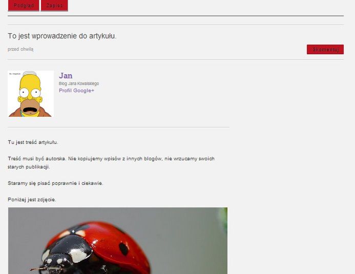 Jak założyć blog i dodawać teksty? 7