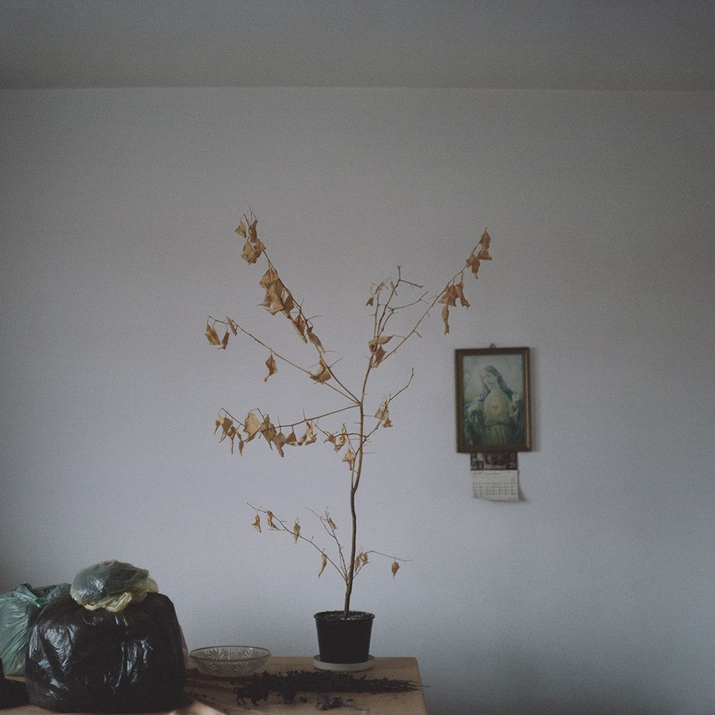 Marlena Jabłońska - laureatka drugiej edycji „Pokaż się” w ramach  5. Opolskiego Festiwalu Fotografii 11