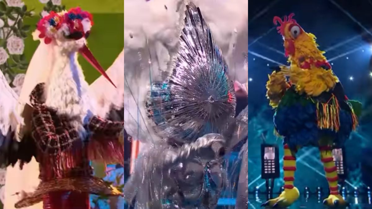 Finał "Mask Singer" zbliża się wielkimi krokami. Kto kryje się pod pozostałymi maskami? 