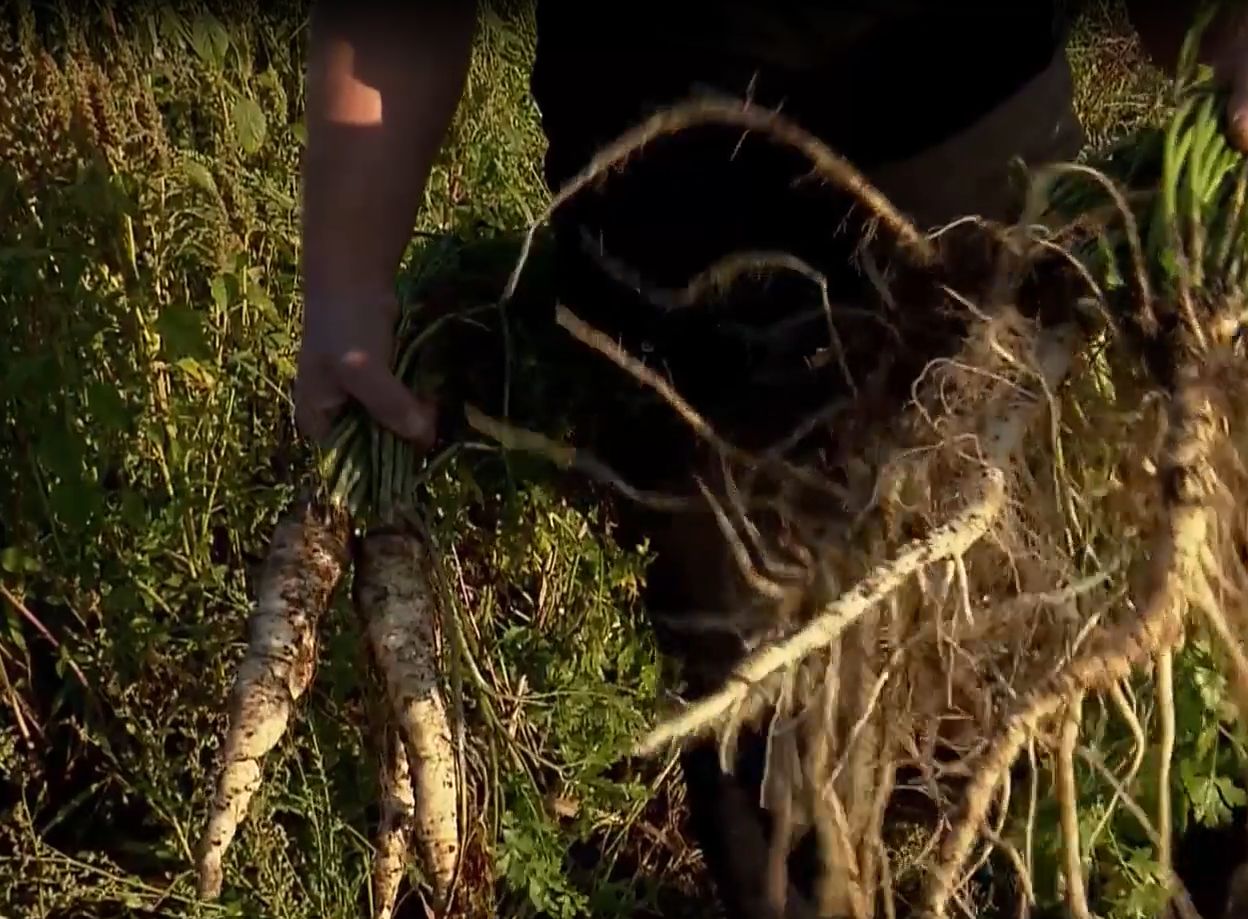 Dominik Czarny poniósł straty rzędu 1,5 mln zł.