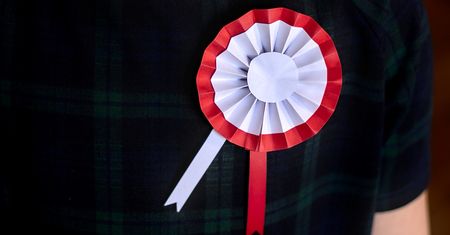 Na poczekaniu robię kotyliony na 11 listopada dla całej mojej rodziny. Proste!