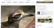Fotosik.pl – największy serwis do dzielenia się zdjęciami w Polsce