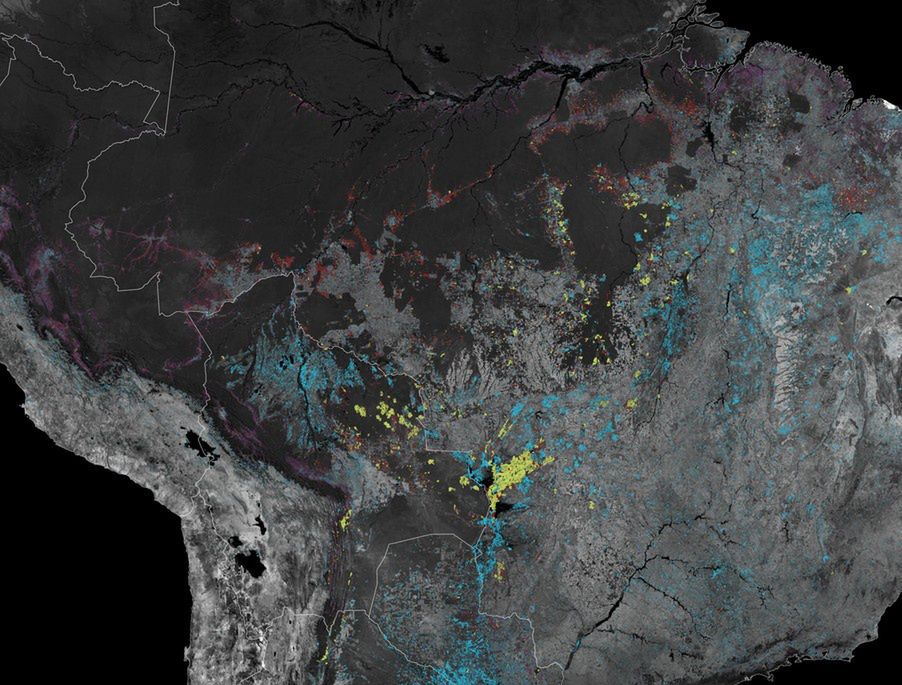 Zdjęcie NASA odsłania okrutną prawdę. Zeszłoroczne pożary Amazonii były znacznie poważniejsze