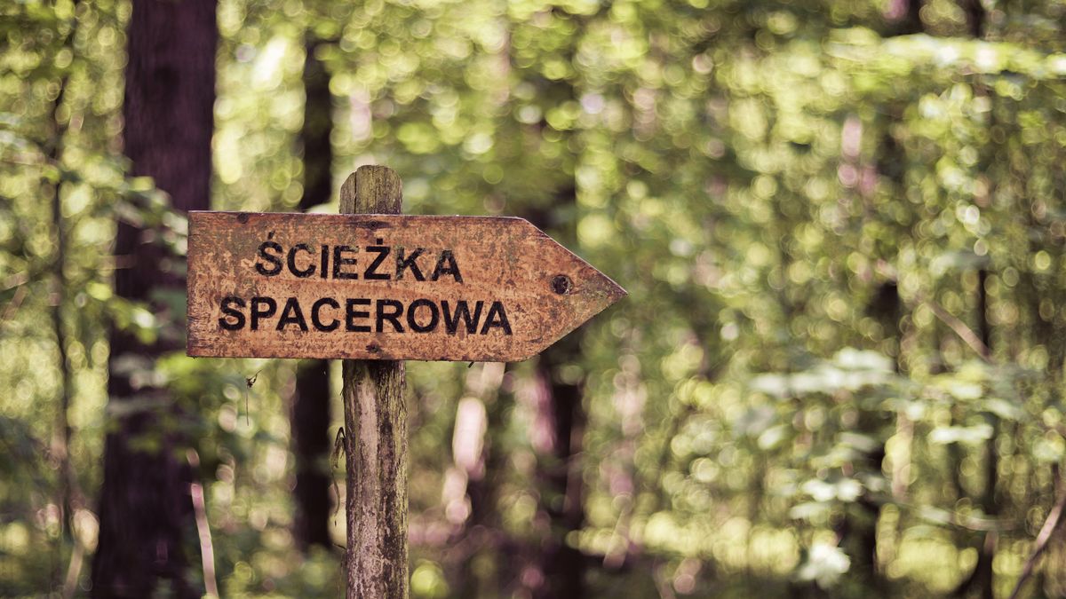 Rząd planuje wprowadzenia opłat za wejście do wszystkich parków narodowych 