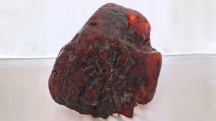 Leżał na progu. Okazało się, że jest warty milion