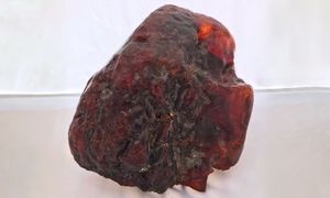 Leżał na progu. Okazało się, że jest warty milion