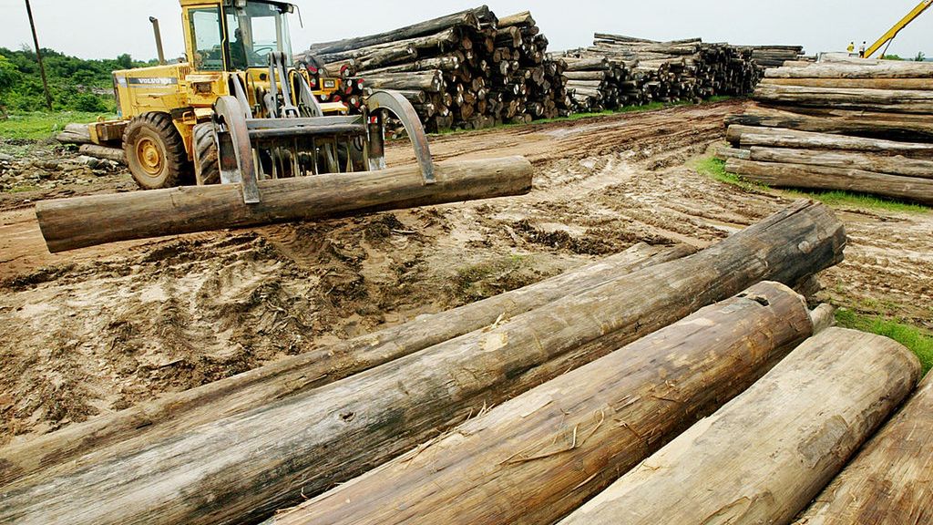 Political Strife Continues In Myanmar
PYIN MA BIN , MYANMAR - JUNE 11:   A bulldozer moves  teak logs marked for export in a government-run lumberyard June 11, 2003 in Pyin Ma Bin, Myanmar. Teak wood is common in Myanmar and is in high demand in Japan and most of Asia.  With the exception of humanitarian assistance, Western countries have maintained an embargo on foreign aid to Myanmar since the military's bloody crackdown on democracy protest in 1988. This continues to be a blow to the country's struggling market economy causing widespread poverty.  Opposition leader Aung San Suu Kyi, remains in "protective custody" after a clash on May 30, 2003 between supporters and a pro-government group last week.  (Photo by Paula Bronstein/Getty Images)
Paula Bronstein
Pyin Ma Bin, Travel, Freight Transportation, Lumberyard, Log, Protest, Child, Playing, Industry, Business, Finance, Transportation, Myanmar, Bulldozer, Industrial Equipment, Concepts And Ideas, Communication