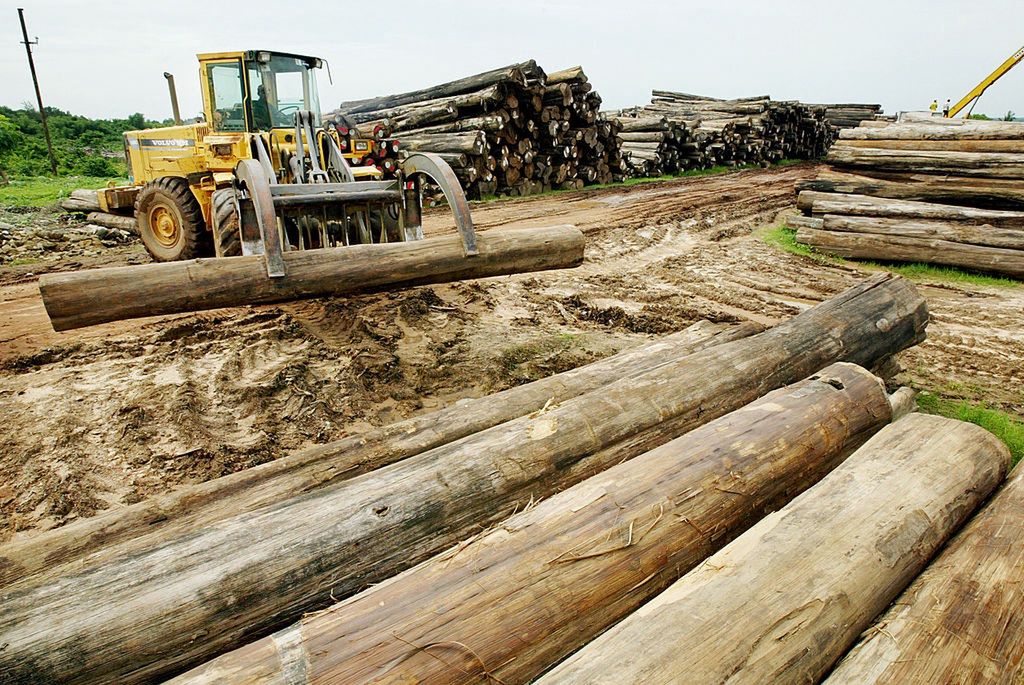 Political Strife Continues In Myanmar
PYIN MA BIN , MYANMAR - JUNE 11:   A bulldozer moves  teak logs marked for export in a government-run lumberyard June 11, 2003 in Pyin Ma Bin, Myanmar. Teak wood is common in Myanmar and is in high demand in Japan and most of Asia.  With the exception of humanitarian assistance, Western countries have maintained an embargo on foreign aid to Myanmar since the military's bloody crackdown on democracy protest in 1988. This continues to be a blow to the country's struggling market economy causing widespread poverty.  Opposition leader Aung San Suu Kyi, remains in "protective custody" after a clash on May 30, 2003 between supporters and a pro-government group last week.  (Photo by Paula Bronstein/Getty Images)
Paula Bronstein
Pyin Ma Bin, Travel, Freight Transportation, Lumberyard, Log, Protest, Child, Playing, Industry, Business, Finance, Transportation, Myanmar, Bulldozer, Industrial Equipment, Concepts And Ideas, Communication