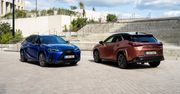 Zwinny crossover premium z hybrydowym napędem? Lexus UX czeka w salonach