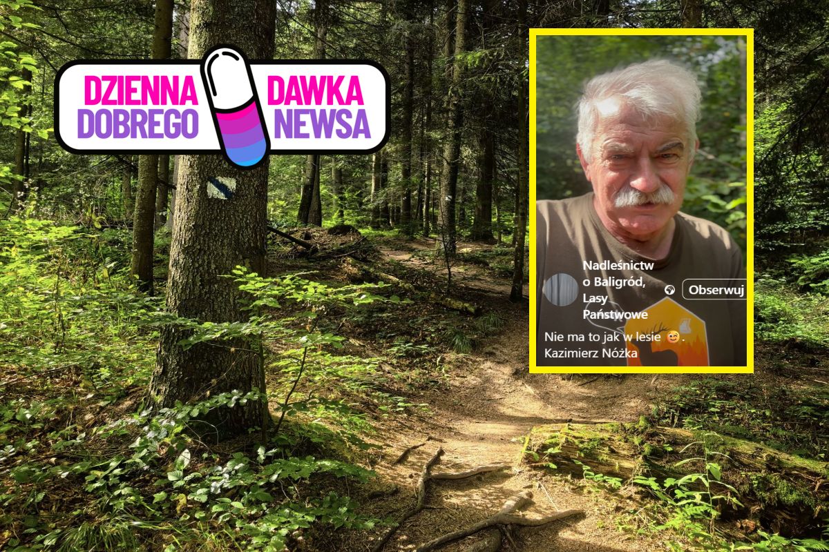 Słynny leśnik z Bieszczad znów nagrywa. "Jak pan Kazimierz opowie, to życie staje się piękniejsze"