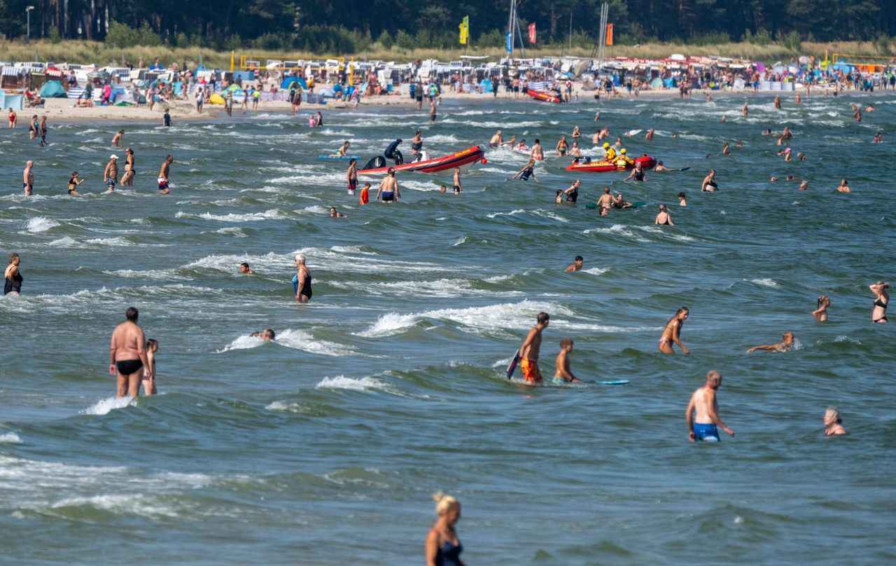 "Ataki" meduz nad Bałtykiem. Ponad 200 poparzonych