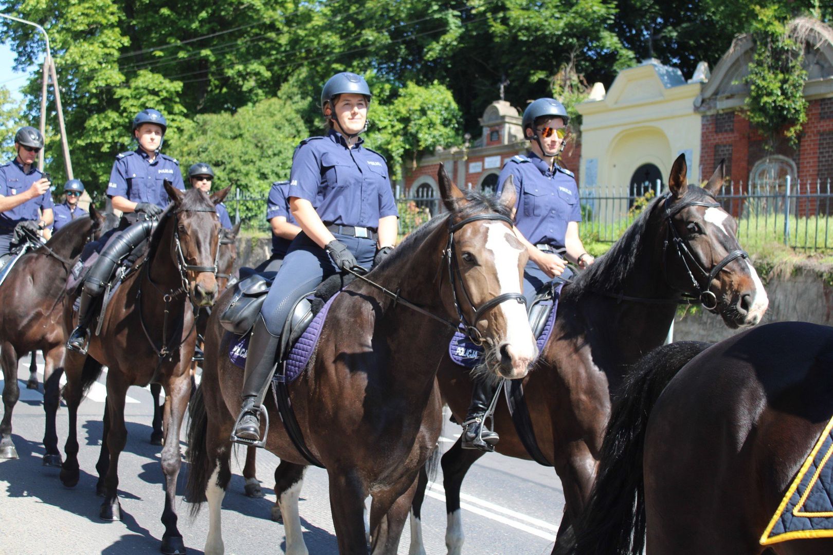 Stado Ogierów w Gnieźnie świętuje 140-lecie istnienia. Przygotowano wiele atrakcji dla mieszkańców